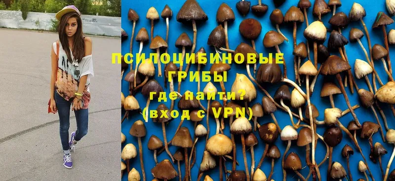 Галлюциногенные грибы Psilocybe  как найти   Югорск 